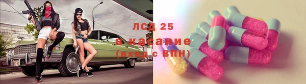сатива Краснотурьинск