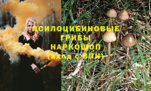 сатива Краснотурьинск
