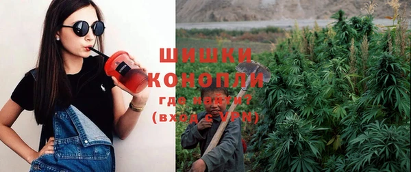 СК Краснослободск