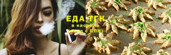 сатива Краснотурьинск