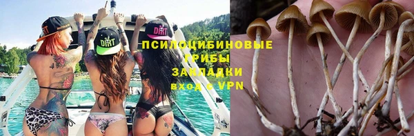 СК Краснослободск